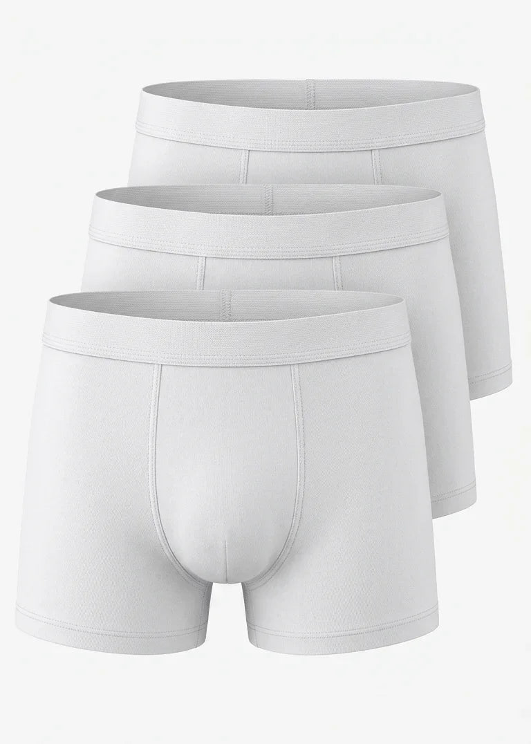Kit com 3 Cuecas Básicas Montanna